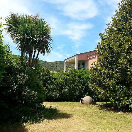 יואנינה Villa Magnolia מראה חיצוני תמונה
